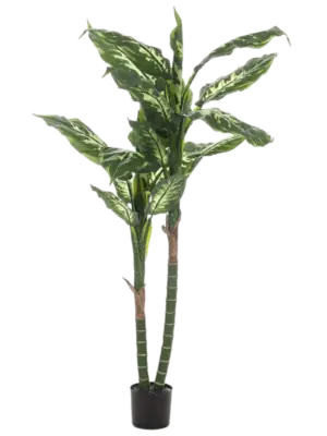 Tuft