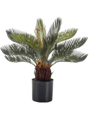 Tuft
