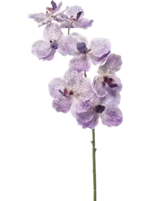 Spray RT Light Purple