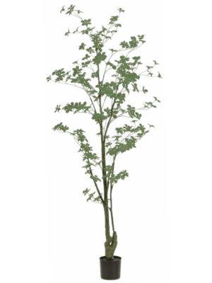 Branched