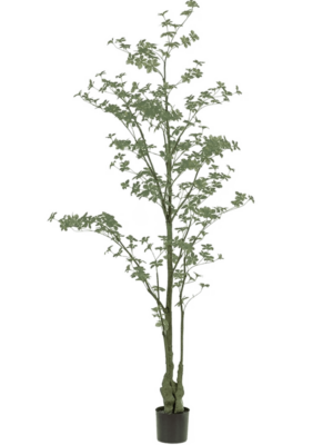 Verzweigt