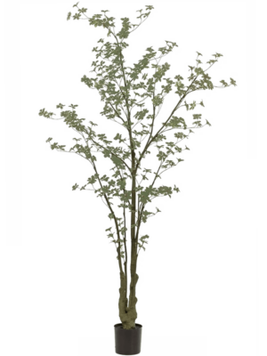 Verzweigt