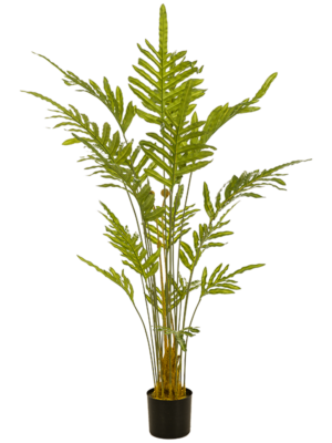 Tuft