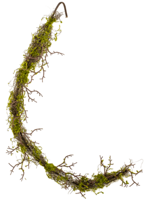 With Moss Green