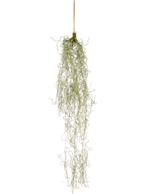 Hanging