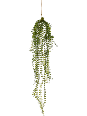 Hanging