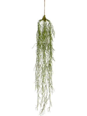 Hanging