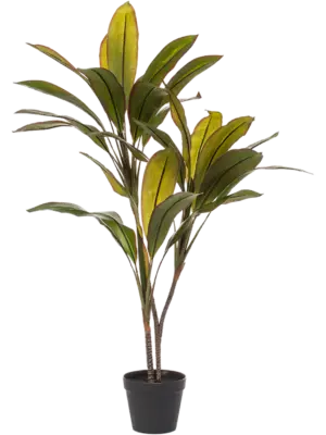 Branched