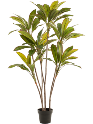 Branched