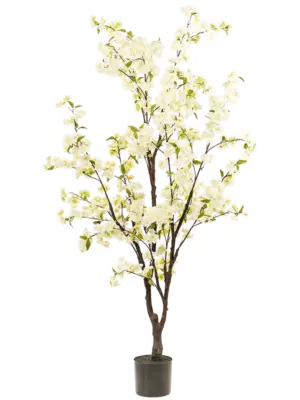 Verzweigt White