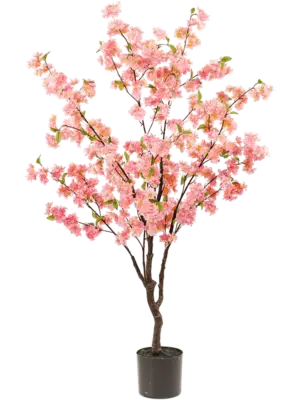 Verzweigt Pink