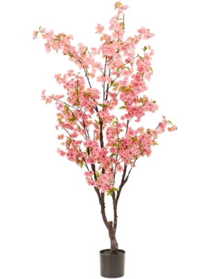 Verzweigt Pink