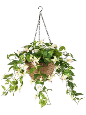 Cream/Pink Hanging Basket (UV)