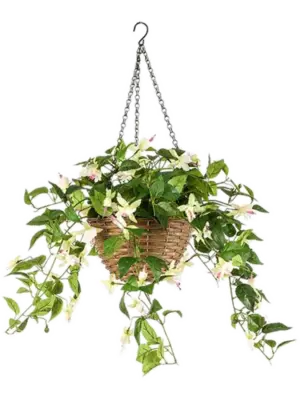 Cream/Pink Hanging Basket (UV)