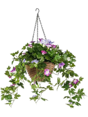 Purple Hanging Basket (UV))