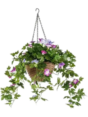 Purple Hanging Basket (UV))