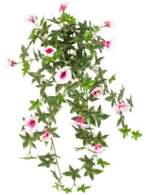 Pink Hanging Bush (UV)