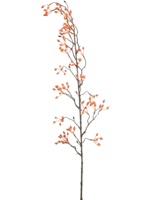 Mini Vine Orange