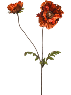 Velvet Dark Orange