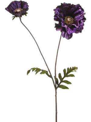 Velvet Purple