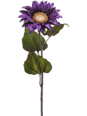 Velvet Purple