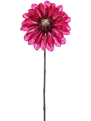 Fuchsia Glamour