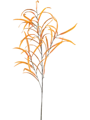 Light Orange