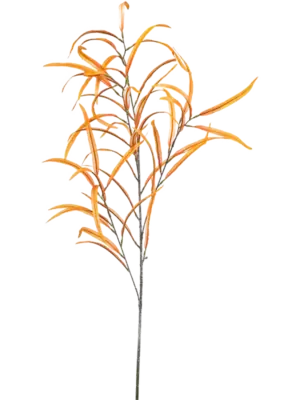 Light Orange