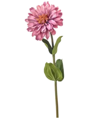 Old Pink