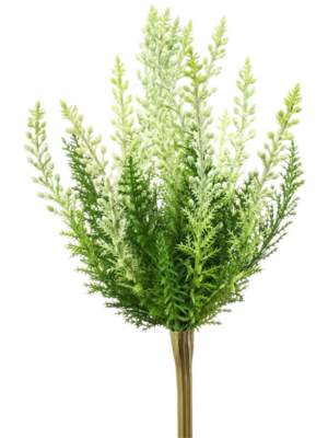 White Bush (UV)