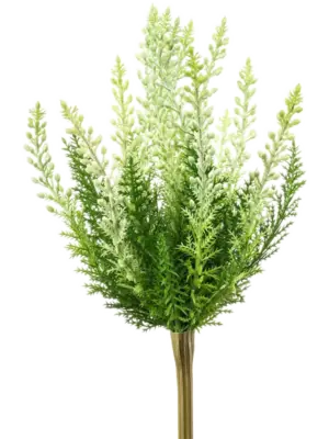 White Bush (UV)