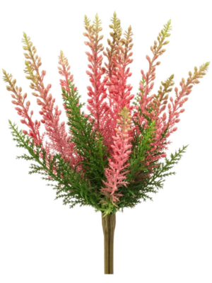 Pink Bush (UV)