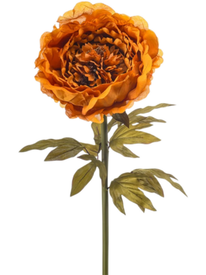 Orange (knock-down)