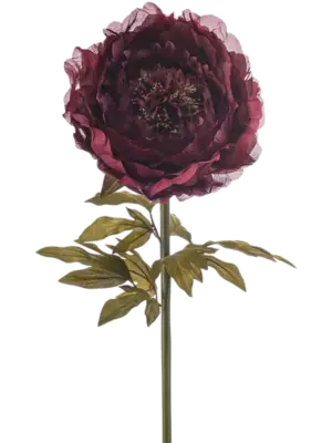 Burgundy (knock-down)