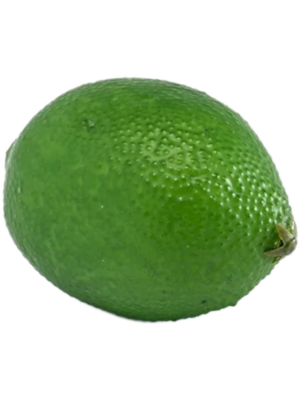 Fruit