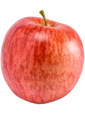 Red Fruit