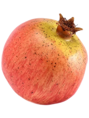 Fruit