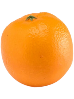 Fruit