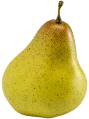 Fruit