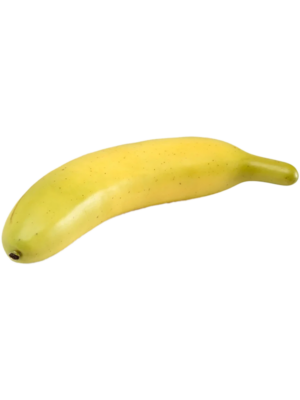 Fruit