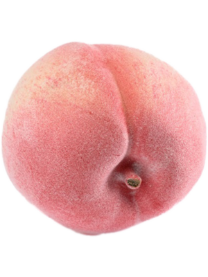 Fruit