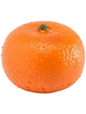 Fruit