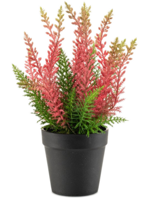 Pink In Plastic Pot (UV)