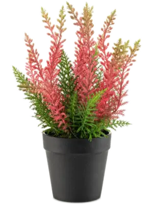Pink In Plastic Pot (UV)