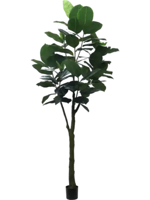 300cm (knock down packing)