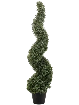 (UV)