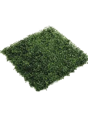 Matte (UV)