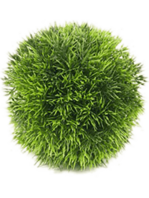 Ball