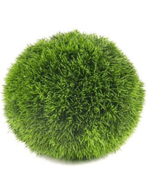 Ball