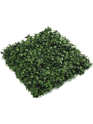 Mat (UV)